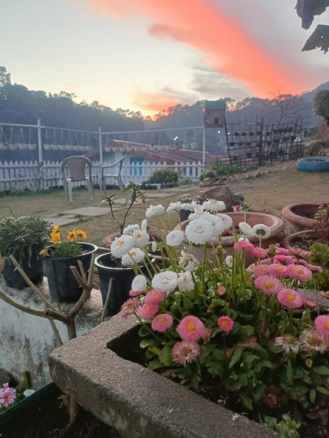 Mohraj Home Stay Bhowali Exterior foto